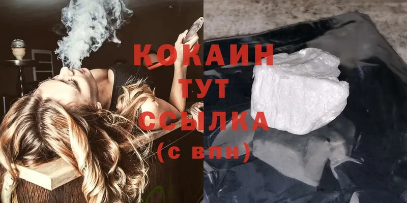 купить закладку  Гвардейск  Cocaine VHQ 